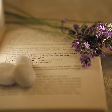 欧萨姆酒店 - 仅限成年人 酒店